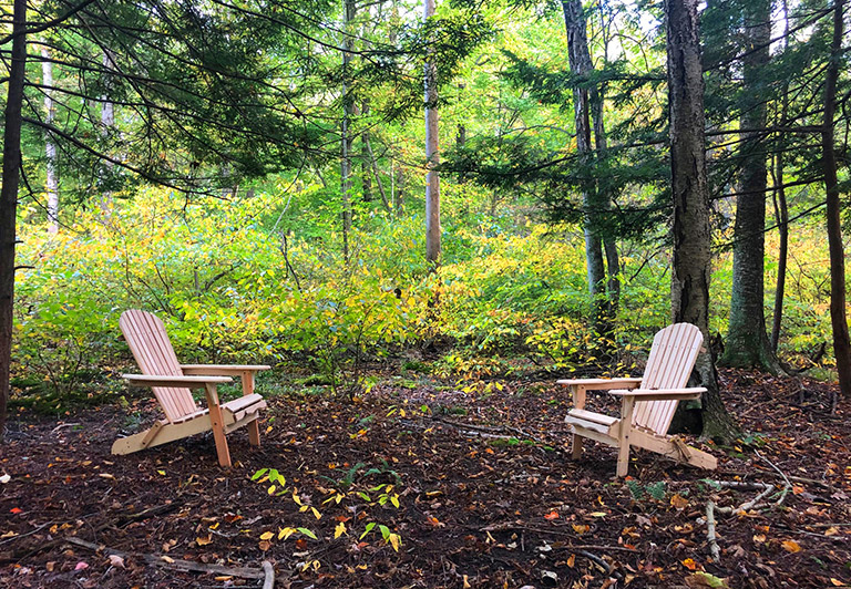 muskoka chairs in the woods